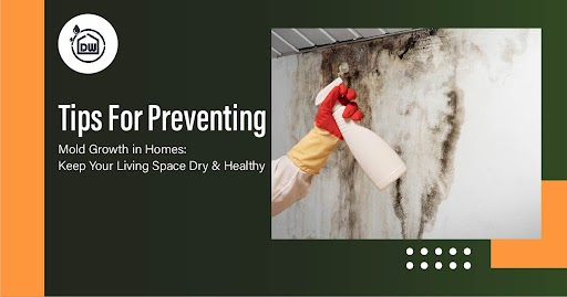 Tips For Preventing Mold Growth in Homes: Keep Your Living Space Dry & Healthy