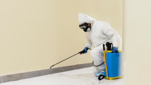 Mold remediation